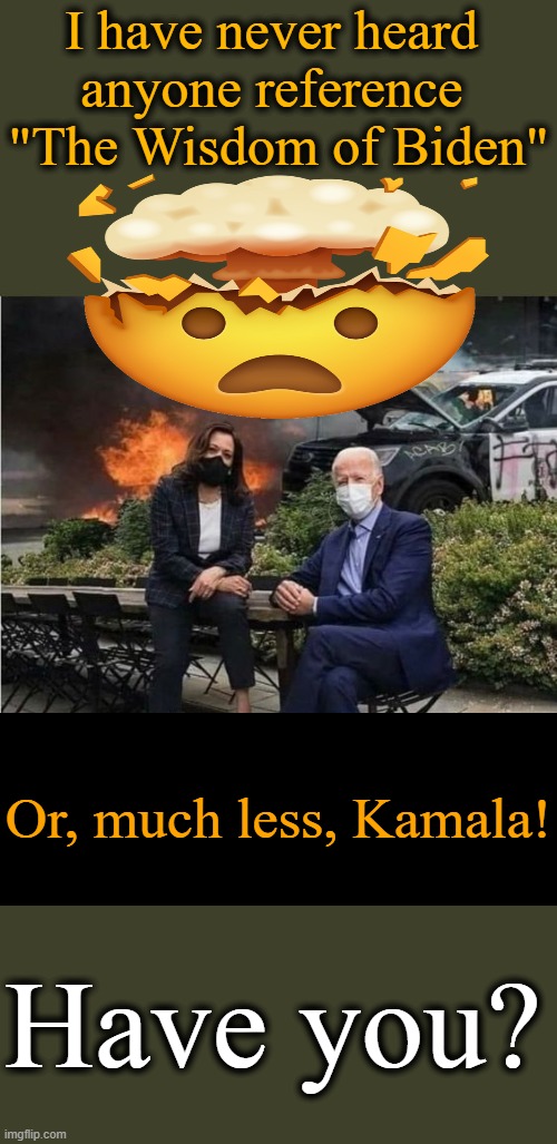 When 'No More Malarkey' Actually Turns Out To Be BAD.... | I have never heard 
anyone reference 

"The Wisdom of Biden"; Or, much less, Kamala! Have you? | image tagged in politics,joe biden,kamala harris,no more,wisdom,idiocracy | made w/ Imgflip meme maker