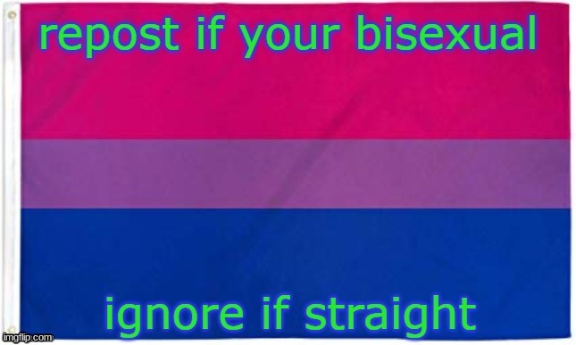 meme4 | image tagged in bisexual,lgbtq | made w/ Imgflip meme maker