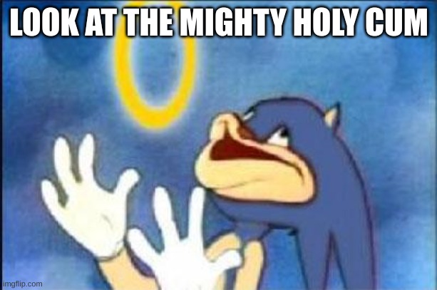 Sonic derp | LOOK AT THE MIGHTY HOLY CUM | image tagged in sonic derp | made w/ Imgflip meme maker