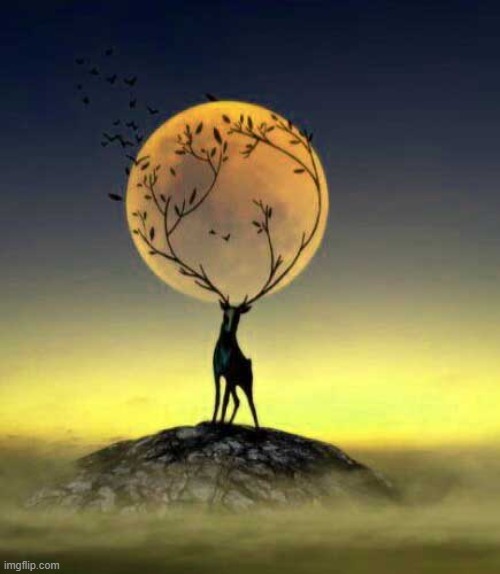 image tagged in awesome | made w/ Imgflip meme maker