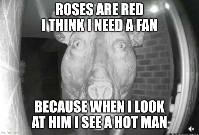 scary pig thing | ROSES ARE RED
I THINK I NEED A FAN BECAUSE WHEN I LOOK AT HIM I SEE A HOT MAN | image tagged in scary pig thing | made w/ Imgflip meme maker