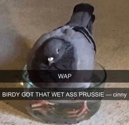 BIRDY GOT THAT WET ASS PRUSSIE — cinny | made w/ Imgflip meme maker