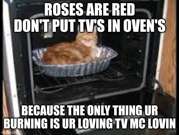 Cat in oven | ROSES ARE RED
DON'T PUT TV'S IN OVEN'S BECAUSE THE ONLY THING UR BURNING IS UR LOVING TV MC LOVIN | image tagged in cat in oven | made w/ Imgflip meme maker