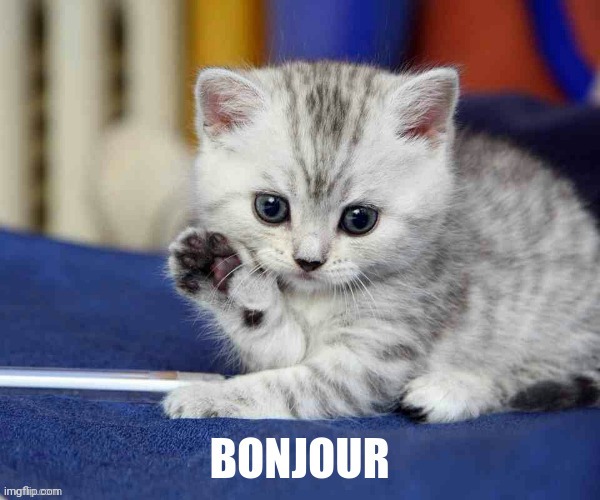 bonjour | image tagged in bonjour | made w/ Imgflip meme maker
