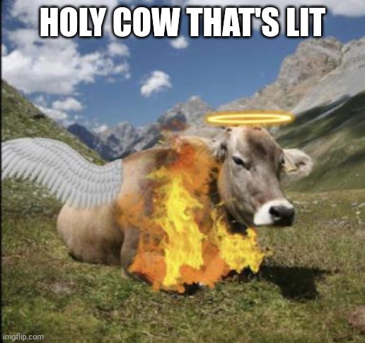 holy cow thats lit | HOLY COW THAT'S LIT | image tagged in holy cow thats lit | made w/ Imgflip meme maker