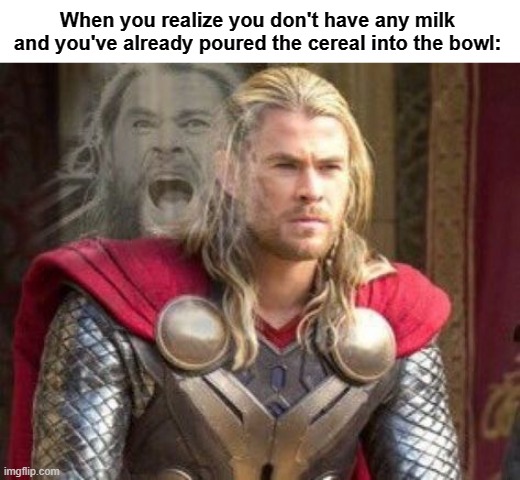 This sums it up: | When you realize you don't have any milk and you've already poured the cereal into the bowl: | image tagged in thor internal screaming meme | made w/ Imgflip meme maker