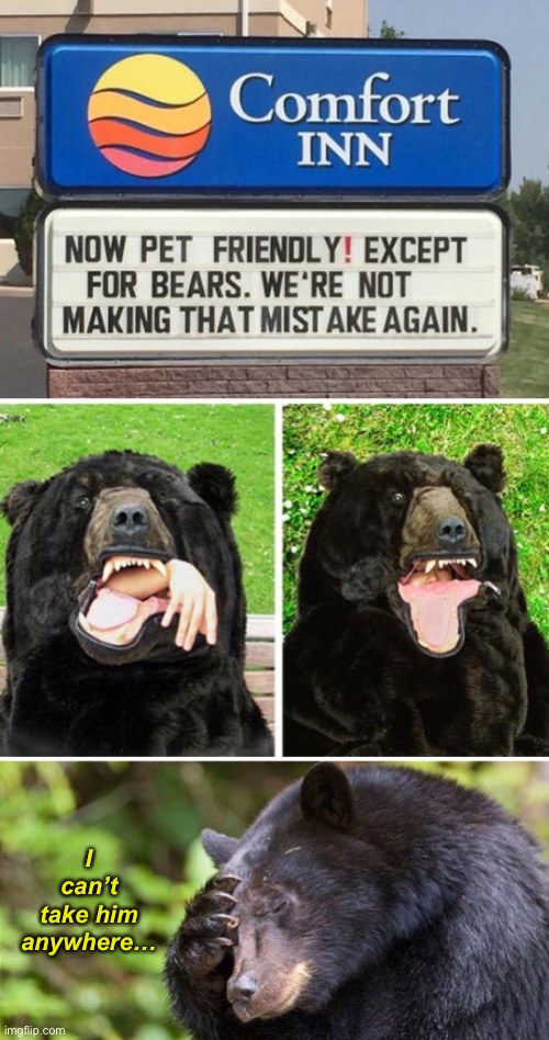 Not Very Gentle Ben | I can’t
take him
anywhere… | image tagged in funny memes,dark humor,bear attack | made w/ Imgflip meme maker
