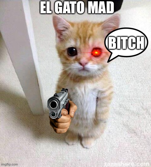 el gato | EL GATO MAD BITCH | image tagged in el gato | made w/ Imgflip meme maker