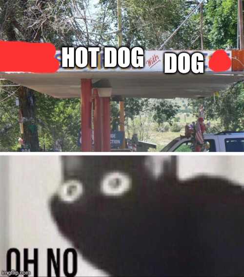 HOT DOG DOG | image tagged in oh no cat | made w/ Imgflip meme maker