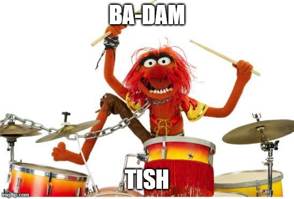 animal drums | BA-DAM TISH | image tagged in animal drums | made w/ Imgflip meme maker