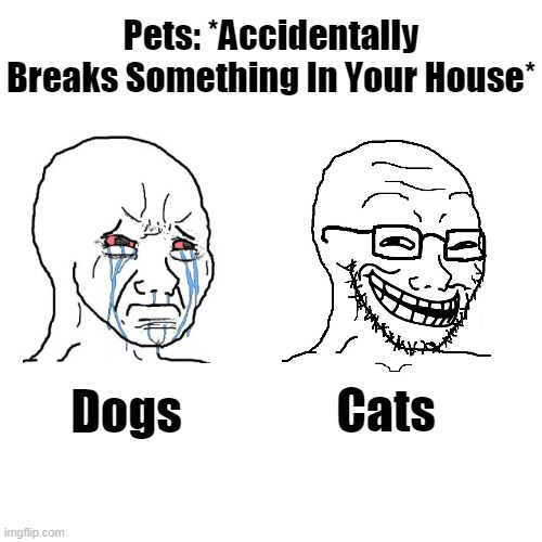 Blank Transparent Square Meme | Pets: *Accidentally Breaks Something In Your House*; Cats; Dogs | image tagged in memes,blank transparent square | made w/ Imgflip meme maker