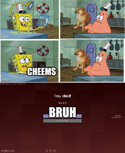 Patrick, that's Cheems | CHEEMS; BRUH | image tagged in patrick thats a | made w/ Imgflip meme maker
