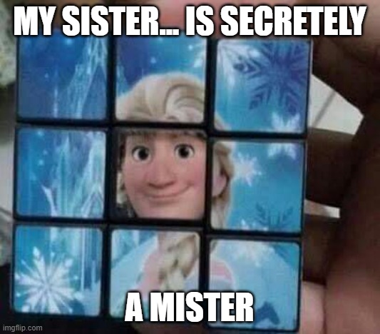 Man elsa | MY SISTER... IS SECRETELY; A MISTER | image tagged in funny elsa | made w/ Imgflip meme maker