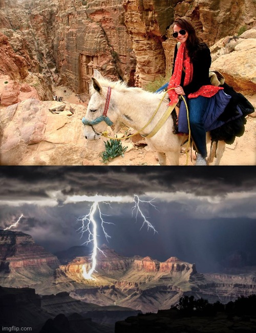 Donkey lightning Blank Meme Template
