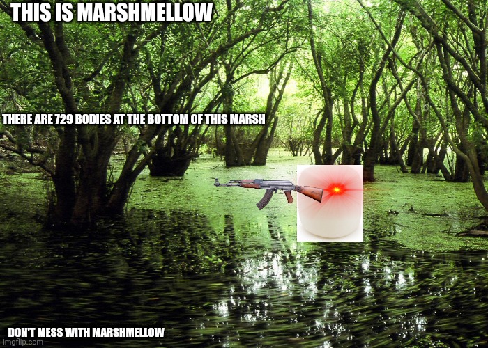 Haha | THIS IS MARSHMELLOW; THERE ARE 729 BODIES AT THE BOTTOM OF THIS MARSH; DON'T MESS WITH MARSHMELLOW | image tagged in pun,marsh,white goo food | made w/ Imgflip meme maker