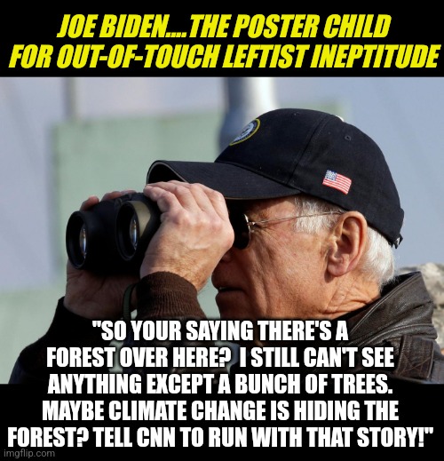 Biden can't see the forest through the trees. And liberals are hoping you don't notice. Don't be blind folks... |  JOE BIDEN....THE POSTER CHILD FOR OUT-OF-TOUCH LEFTIST INEPTITUDE; "SO YOUR SAYING THERE'S A FOREST OVER HERE?  I STILL CAN'T SEE ANYTHING EXCEPT A BUNCH OF TREES. MAYBE CLIMATE CHANGE IS HIDING THE FOREST? TELL CNN TO RUN WITH THAT STORY!" | image tagged in joe biden,blind,liberal logic,failure,midterms,panic | made w/ Imgflip meme maker