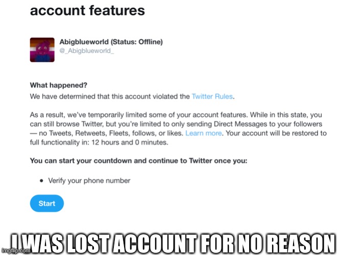 Petition to Unban my falsely banned Twitter account. | I WAS LOST ACCOUNT FOR NO REASON | image tagged in twitter | made w/ Imgflip meme maker