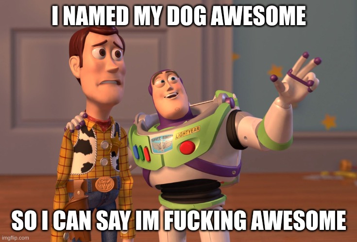 X, X Everywhere Meme | I NAMED MY DOG AWESOME; SO I CAN SAY IM FUCKING AWESOME | image tagged in memes,x x everywhere | made w/ Imgflip meme maker