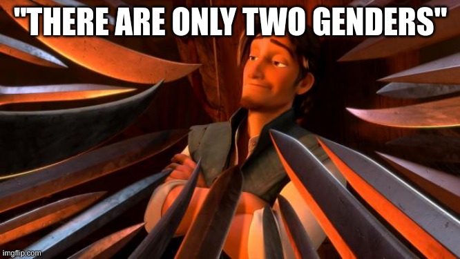Flynn rider swords |  "THERE ARE ONLY TWO GENDERS" | image tagged in flynn rider swords | made w/ Imgflip meme maker