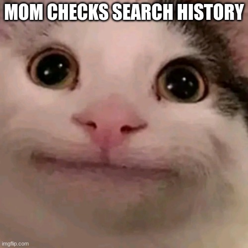 Beluga | MOM CHECKS SEARCH HISTORY | image tagged in beluga | made w/ Imgflip meme maker