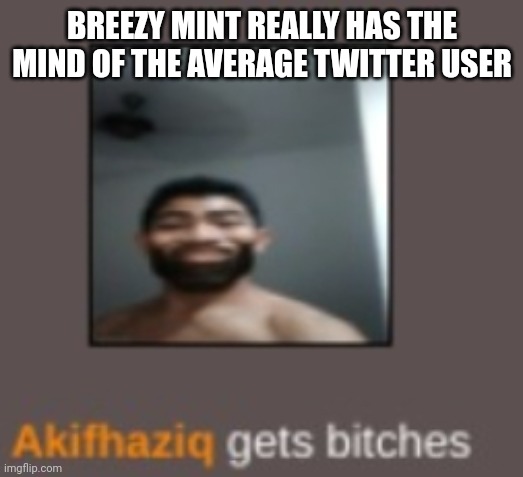 piss | BREEZY MINT REALLY HAS THE MIND OF THE AVERAGE TWITTER USER | image tagged in piss | made w/ Imgflip meme maker