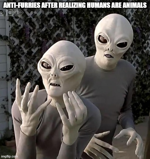 please don't talk about aliens also being animals in the comments |  ANTI-FURRIES AFTER REALIZING HUMANS ARE ANIMALS | image tagged in aliens | made w/ Imgflip meme maker