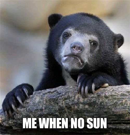 It's kind of chilly in fact | ME WHEN NO SUN | image tagged in memes,confession bear | made w/ Imgflip meme maker