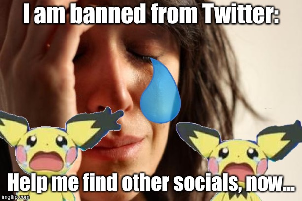 Severe: Lost my Twitter account, and now can’t make accounts without verifying Phone number | I am banned from Twitter:; Help me find other socials, now... | image tagged in twitter,help me,severe,important | made w/ Imgflip meme maker