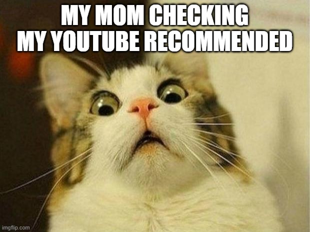 Scared Cat | MY MOM CHECKING MY YOUTUBE RECOMMENDED | image tagged in memes,scared cat | made w/ Imgflip meme maker