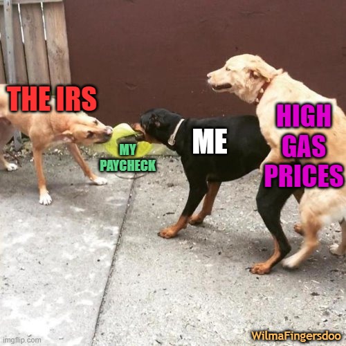 This Is My Life | THE IRS; HIGH GAS PRICES; MY PAYCHECK; ME; WilmaFingersdoo | image tagged in this is my life,ConservativesOnly | made w/ Imgflip meme maker