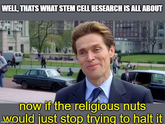 You know, I'm something of a scientist myself | WELL, THATS WHAT STEM CELL RESEARCH IS ALL ABOUT now if the religious nuts would just stop trying to halt it | image tagged in you know i'm something of a scientist myself | made w/ Imgflip meme maker