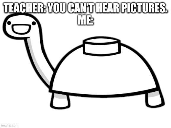 Mine Turtle | TEACHER: YOU CAN'T HEAR PICTURES.
ME: | image tagged in mine turtle | made w/ Imgflip meme maker