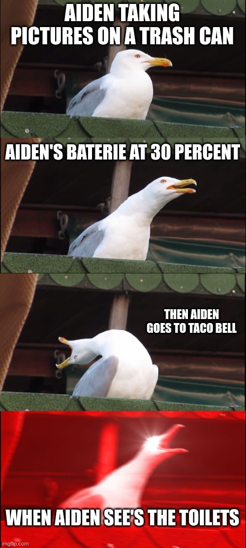 Inhaling Seagull Meme | AIDEN TAKING PICTURES ON A TRASH CAN; AIDEN'S BATERIE AT 30 PERCENT; THEN AIDEN GOES TO TACO BELL; WHEN AIDEN SEE'S THE TOILETS | image tagged in memes,inhaling seagull | made w/ Imgflip meme maker