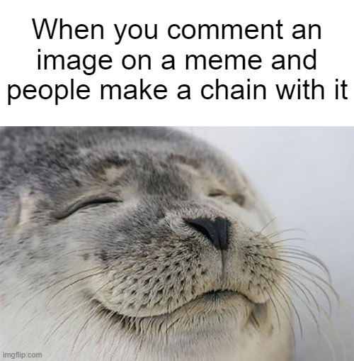 yeeeeees | When you comment an image on a meme and people make a chain with it | image tagged in blank white template,memes,satisfied seal,chain,happy | made w/ Imgflip meme maker