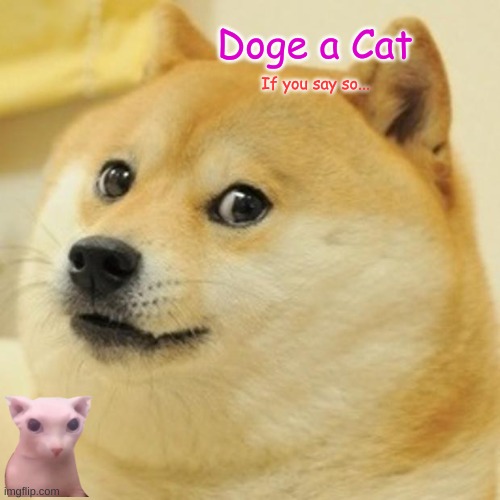 Doge a Cat | Doge a Cat; If you say so... | image tagged in memes,doge | made w/ Imgflip meme maker