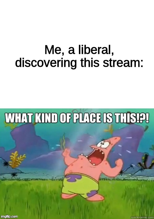What kind of place is this? | Me, a liberal, discovering this stream: | image tagged in what kind of place is this | made w/ Imgflip meme maker