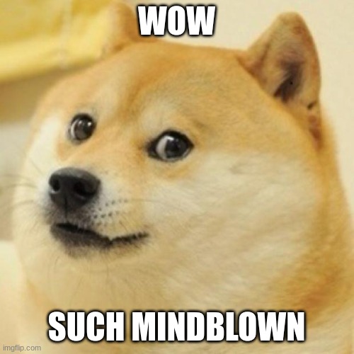 wow doge | WOW SUCH MINDBLOWN | image tagged in wow doge | made w/ Imgflip meme maker