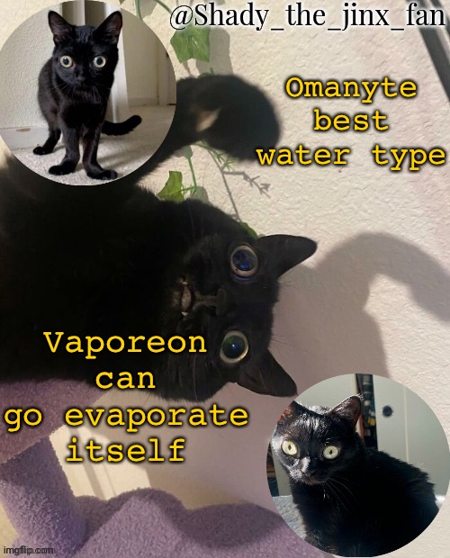 Shady’s jinx temp (once agaun thanks ishowsun) | Omanyte best water type; Vaporeon can go evaporate itself | image tagged in shady s jinx temp once agaun thanks ishowsun | made w/ Imgflip meme maker
