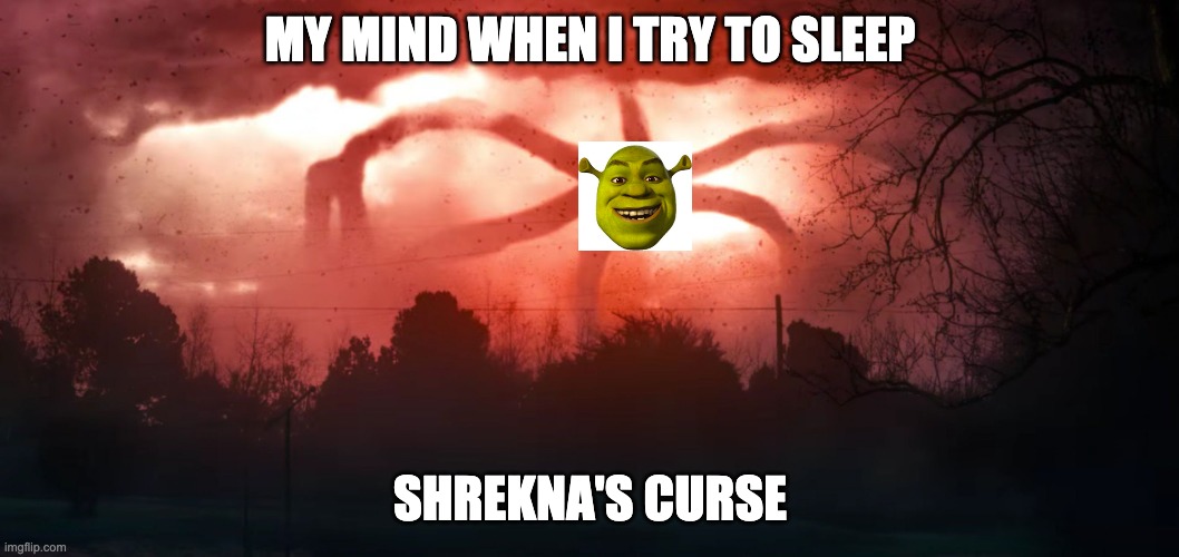 Stranger Things 2 | MY MIND WHEN I TRY TO SLEEP; SHREKNA'S CURSE | image tagged in stranger things 2 | made w/ Imgflip meme maker