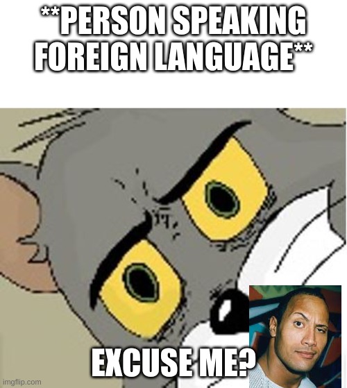 unsettled tom | **PERSON SPEAKING FOREIGN LANGUAGE**; EXCUSE ME? | image tagged in unsettled tom | made w/ Imgflip meme maker