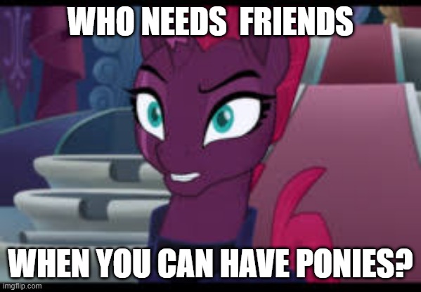 WHO NEEDS  FRIENDS WHEN YOU CAN HAVE PONIES? | made w/ Imgflip meme maker