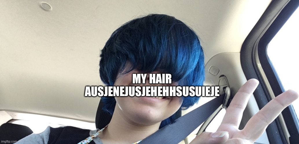 MY HAIR AUSJENEJUSJEHEHHSUSUIEJE | made w/ Imgflip meme maker