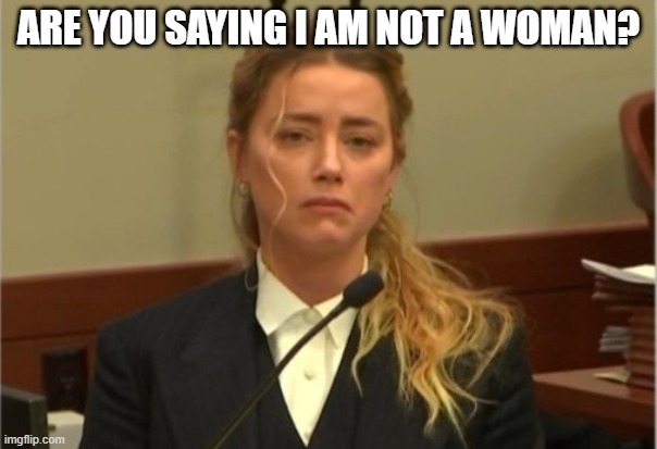 Amber Turd | ARE YOU SAYING I AM NOT A WOMAN? | image tagged in amber turd | made w/ Imgflip meme maker