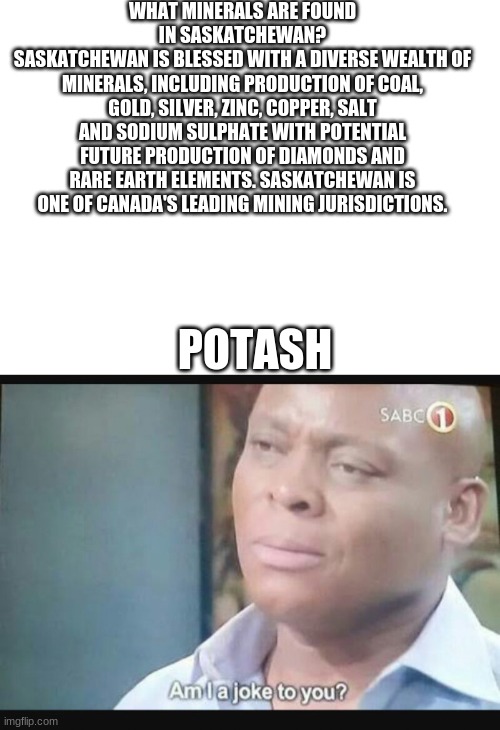 potash, gotta be one of my fav genders... | WHAT MINERALS ARE FOUND IN SASKATCHEWAN?
SASKATCHEWAN IS BLESSED WITH A DIVERSE WEALTH OF MINERALS, INCLUDING PRODUCTION OF COAL, GOLD, SILVER, ZINC, COPPER, SALT AND SODIUM SULPHATE WITH POTENTIAL FUTURE PRODUCTION OF DIAMONDS AND RARE EARTH ELEMENTS. SASKATCHEWAN IS ONE OF CANADA'S LEADING MINING JURISDICTIONS. POTASH | image tagged in blank white template,am i a joke to you | made w/ Imgflip meme maker