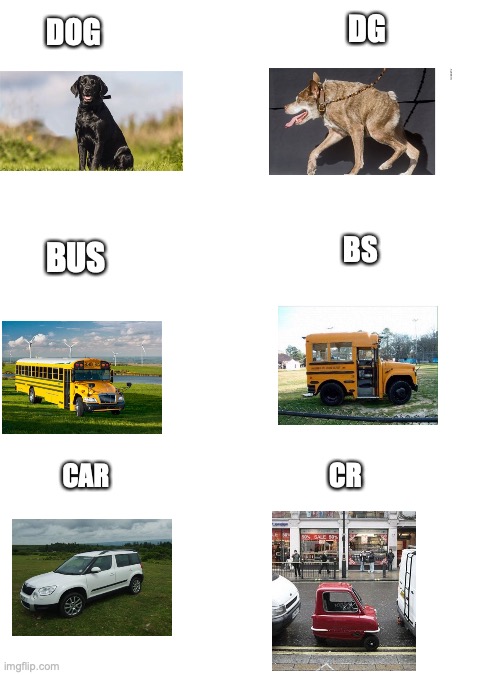 Short stuf |  DG; DOG; BS; BUS; CR; CAR | image tagged in memes,short | made w/ Imgflip meme maker