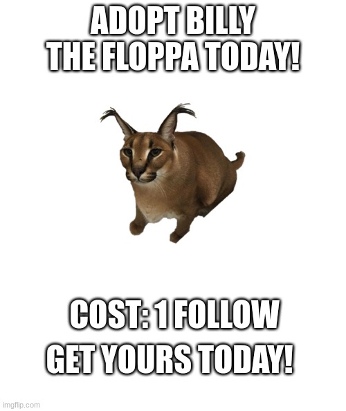 ADOPT BILLY THE FLOPPA |  ADOPT BILLY THE FLOPPA TODAY! COST: 1 FOLLOW; GET YOURS TODAY! | image tagged in white rectangle,floppa,adoption,billy the floppa | made w/ Imgflip meme maker