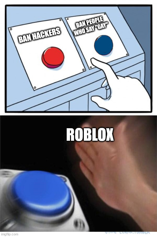 two buttons 1 blue | BAN PEOPLE WHO SAY "GAY"; BAN HACKERS; ROBLOX | image tagged in two buttons 1 blue | made w/ Imgflip meme maker