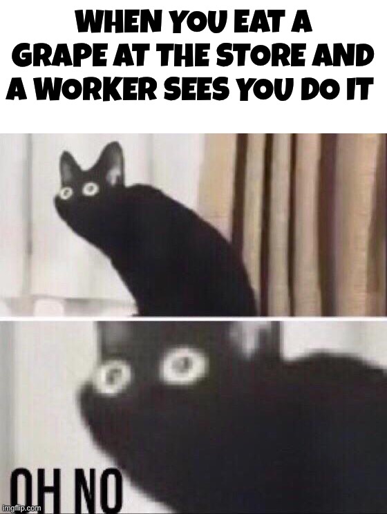 Uh oh | WHEN YOU EAT A GRAPE AT THE STORE AND A WORKER SEES YOU DO IT | image tagged in oh no cat,memes,funny,oh no,grapes,grocery store | made w/ Imgflip meme maker