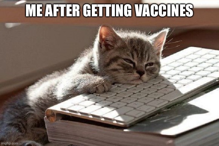 Fr why do vaccines make me sleepy | ME AFTER GETTING VACCINES | image tagged in too tired | made w/ Imgflip meme maker