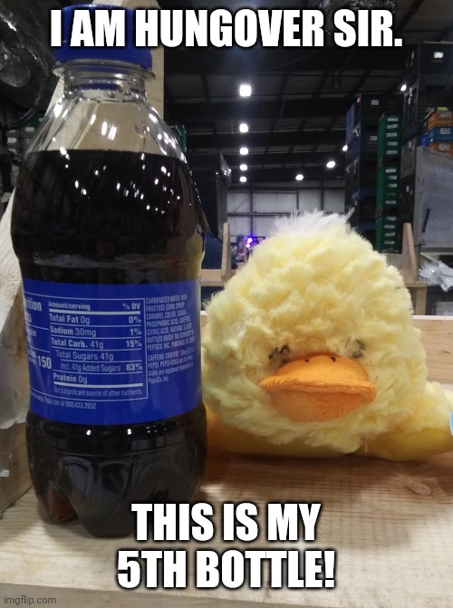 Drunk Duck | I AM HUNGOVER SIR. THIS IS MY 5TH BOTTLE! | image tagged in drunk duck | made w/ Imgflip meme maker